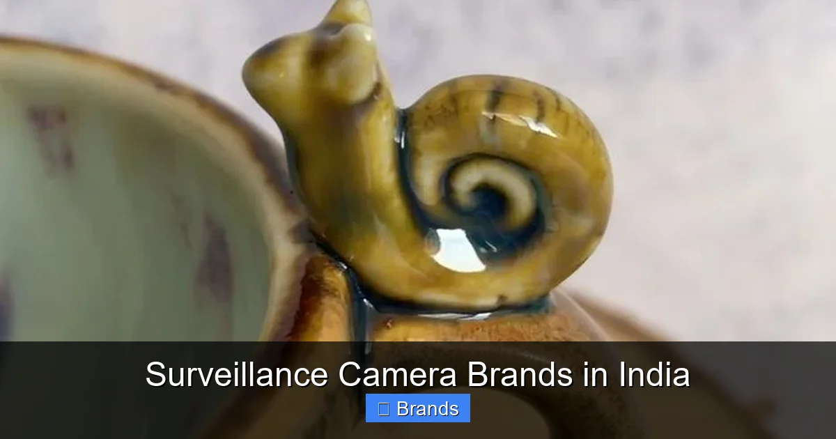 Surveillance Camera Brands in India