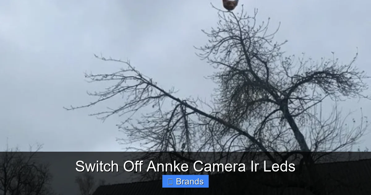Switch Off Annke Camera Ir Leds