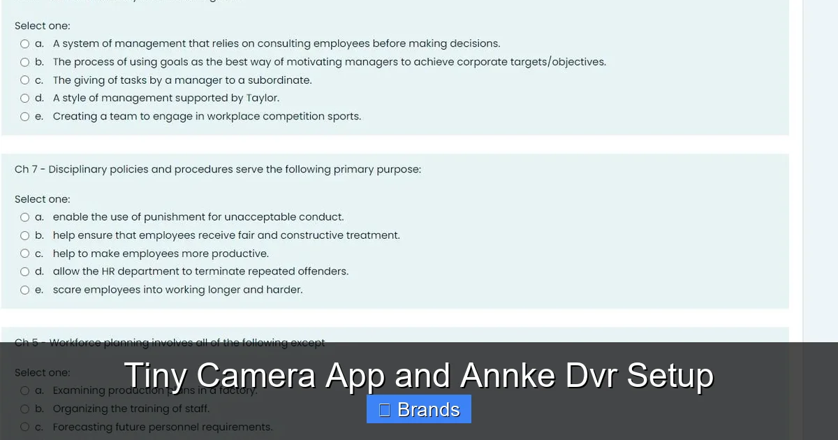 Tiny Camera App and Annke Dvr Setup