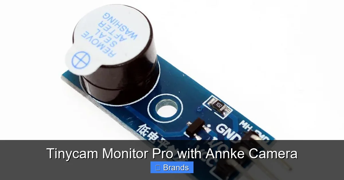 Tinycam Monitor Pro with Annke Camera