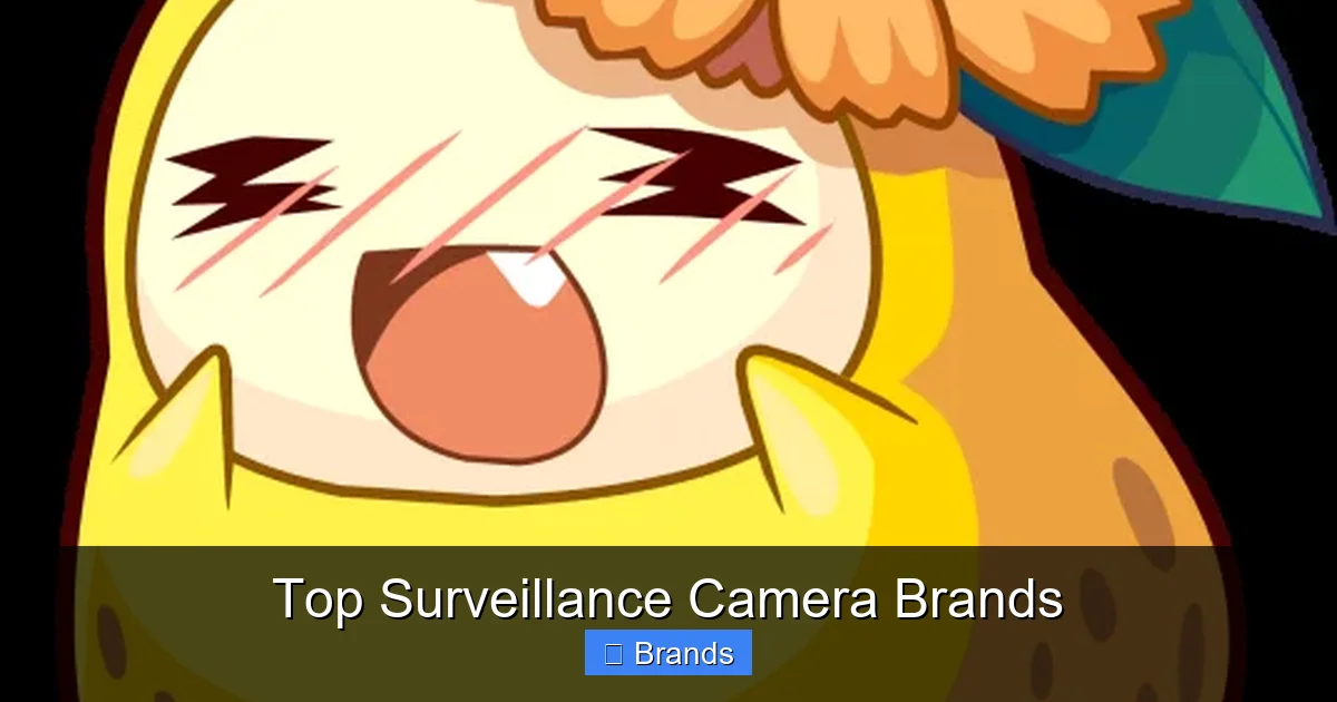 Top Surveillance Camera Brands