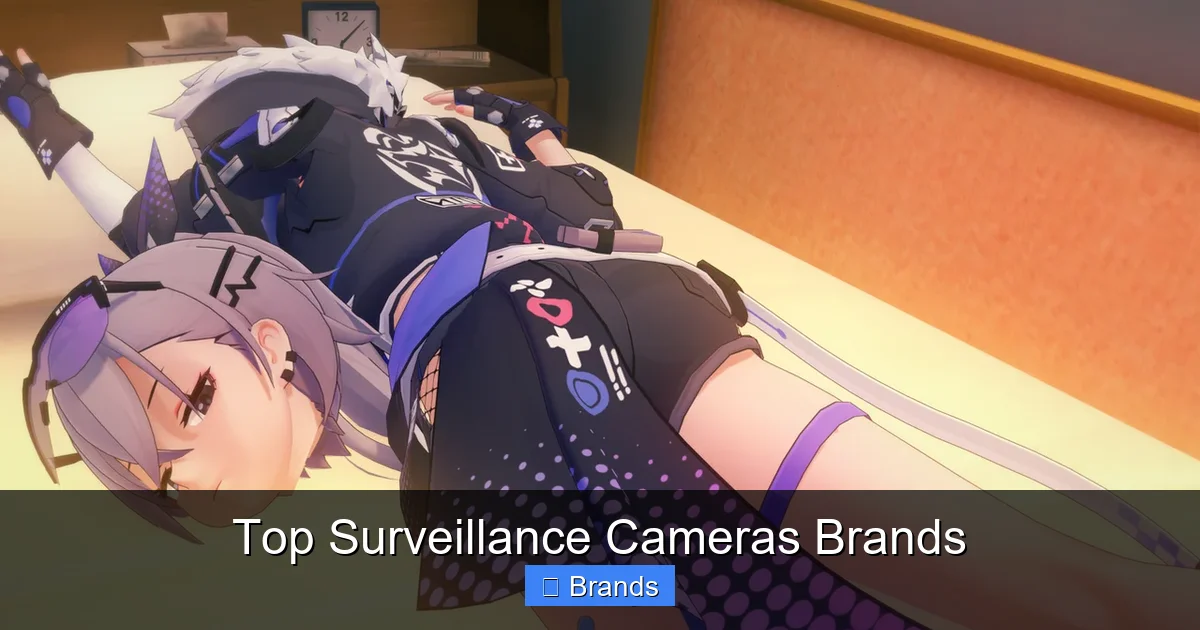 Top Surveillance Cameras Brands