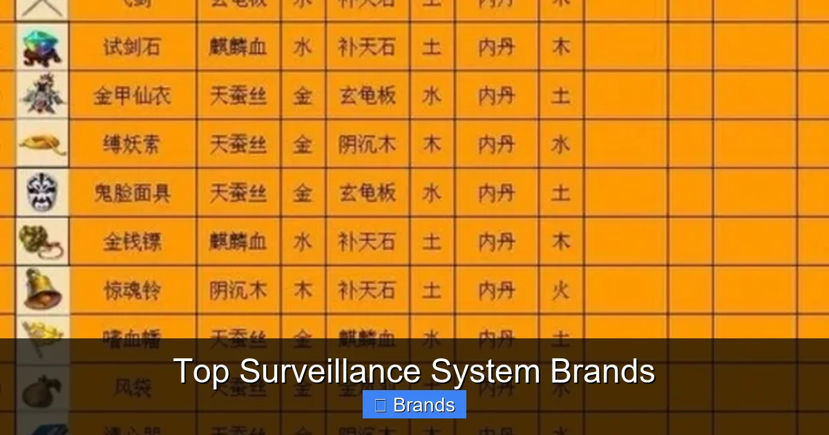 Top Surveillance System Brands