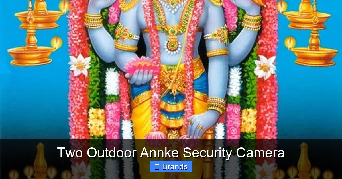 Two Outdoor Annke Security Camera