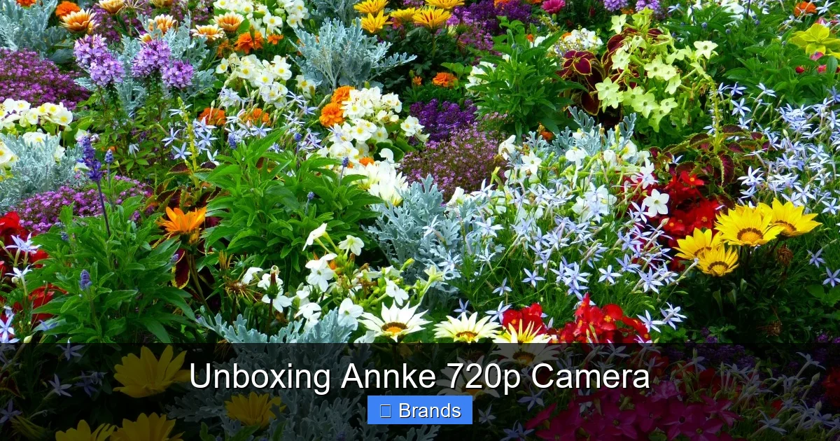 Unboxing Annke 720p Camera