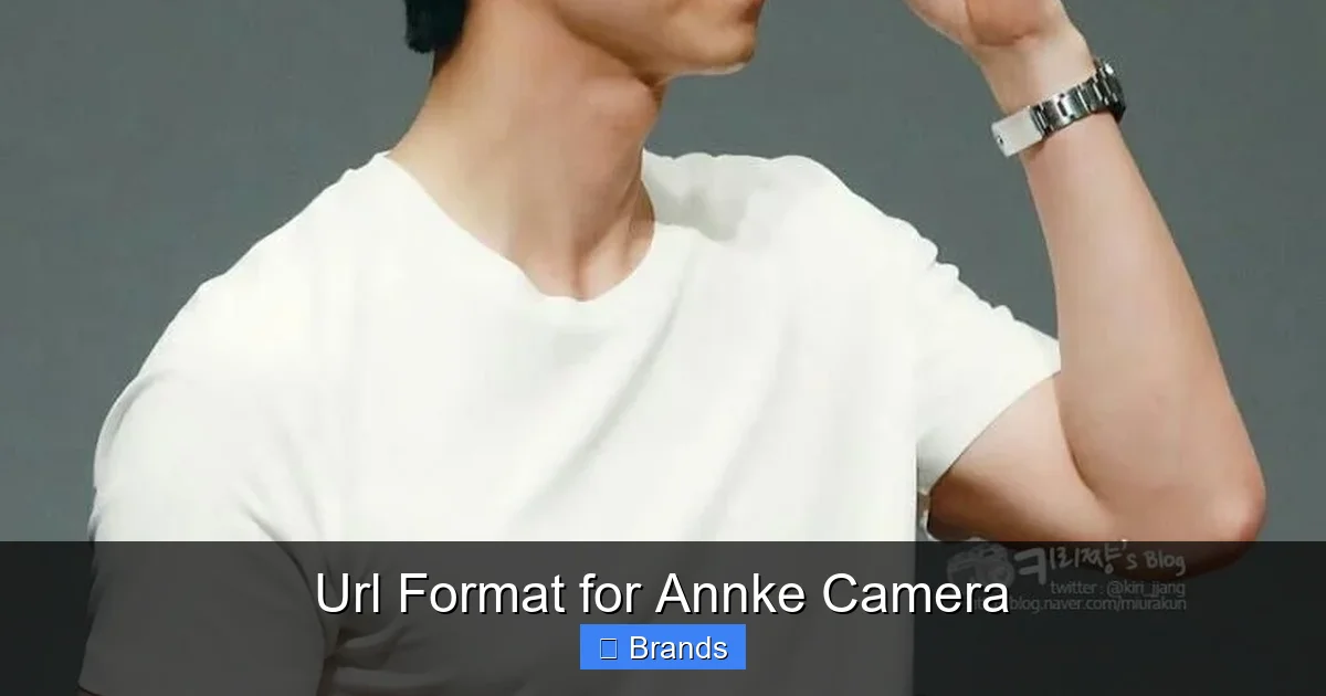 Url Format for Annke Camera