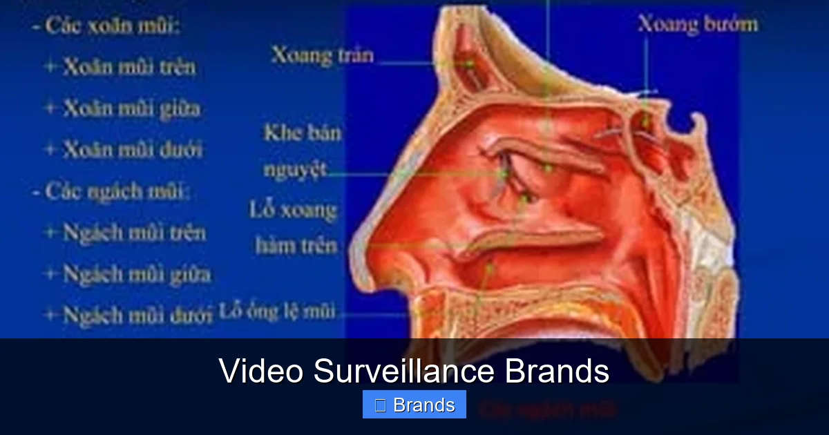 Video Surveillance Brands