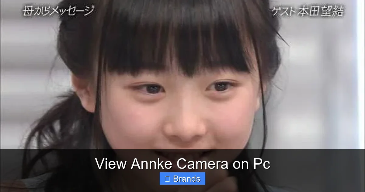 View Annke Camera on Pc