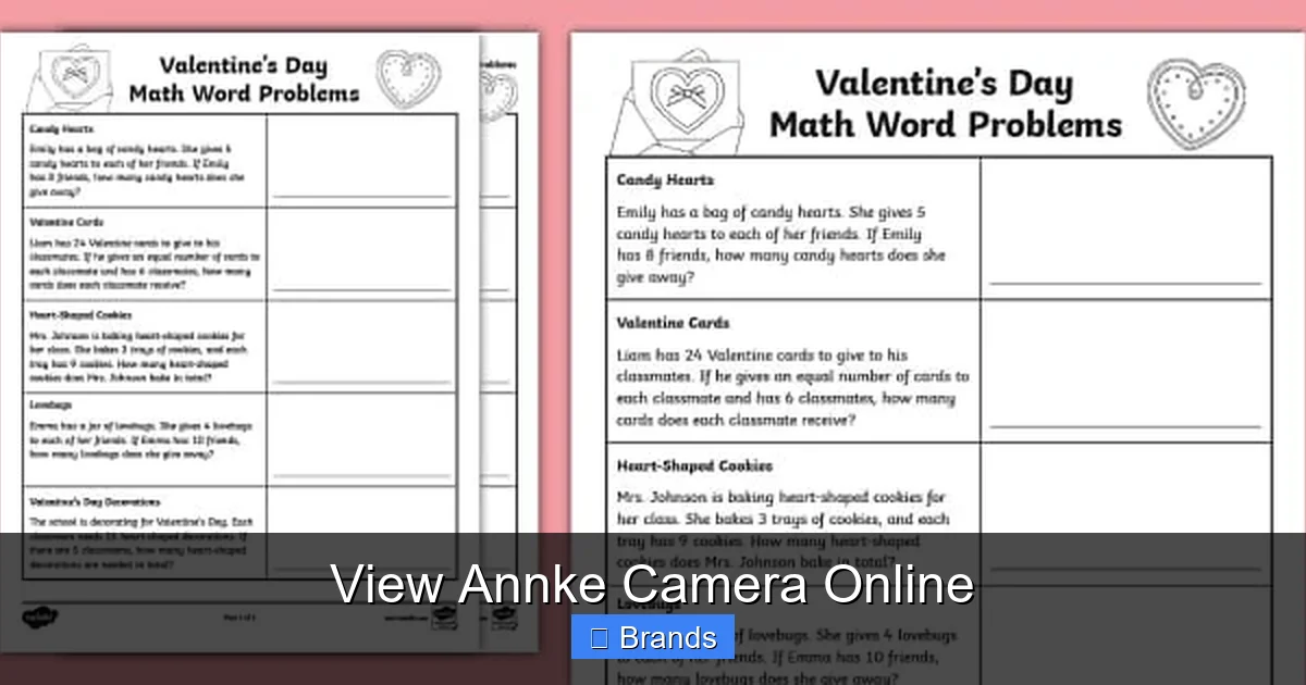 View Annke Camera Online
