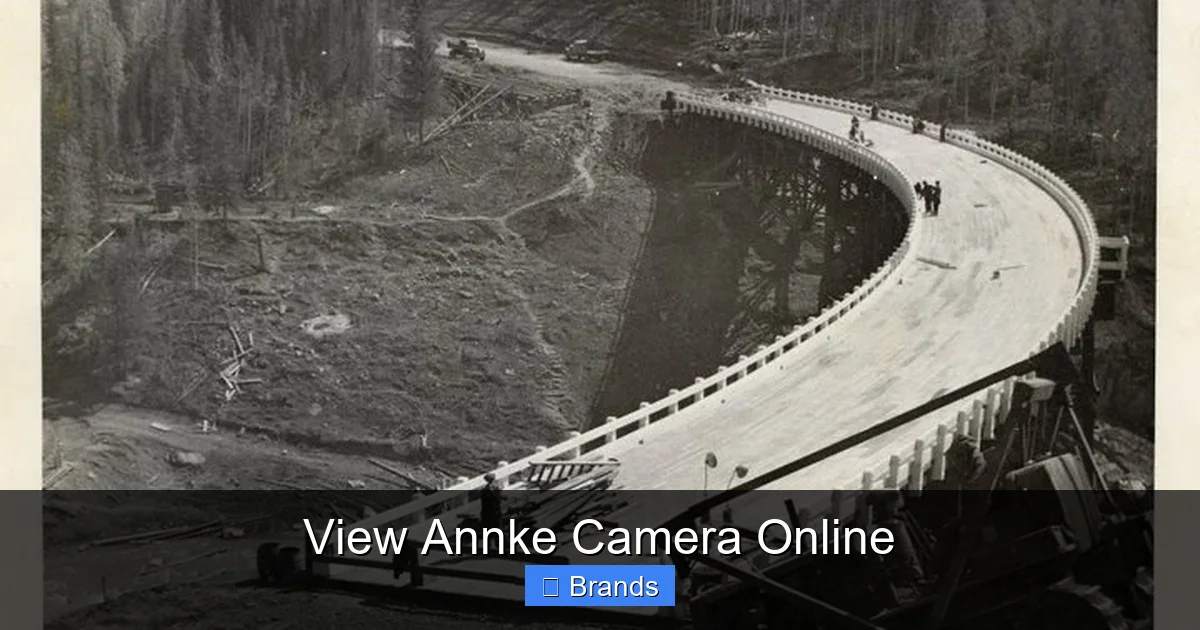 View Annke Camera Online