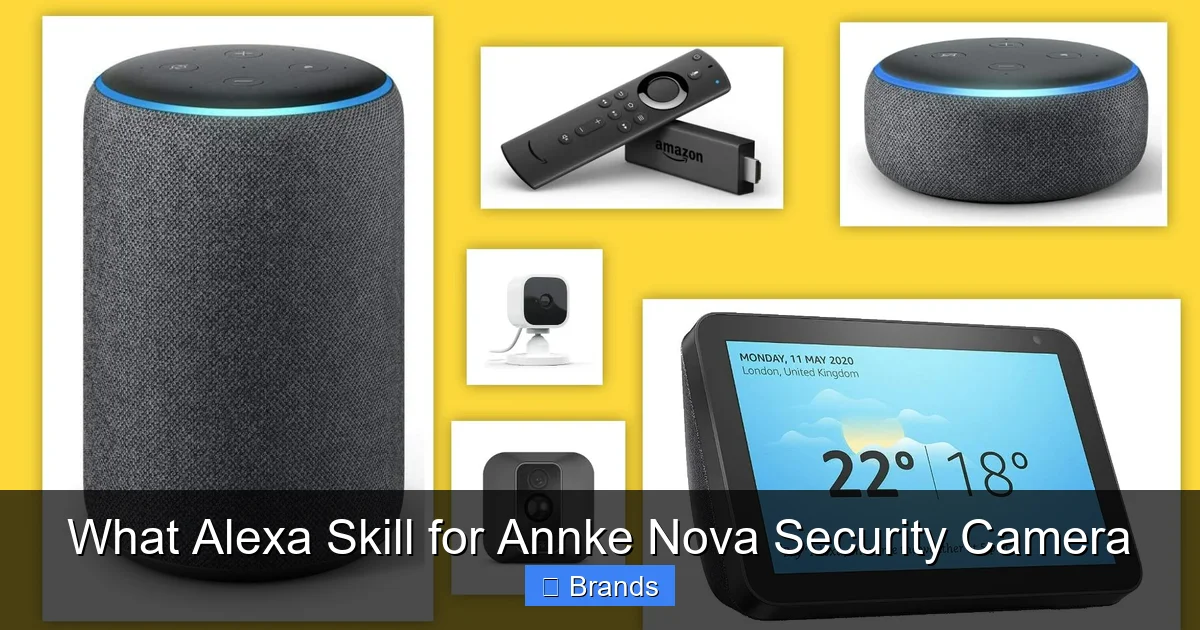 What Alexa Skill for Annke Nova Security Camera