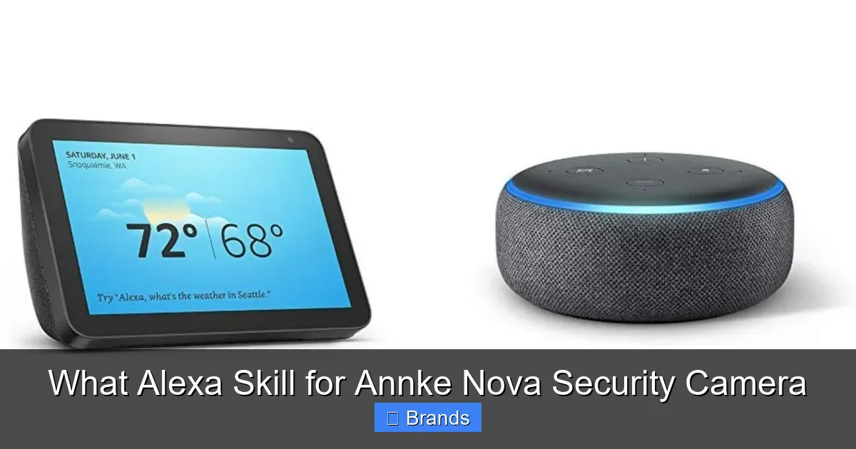 What Alexa Skill for Annke Nova Security Camera