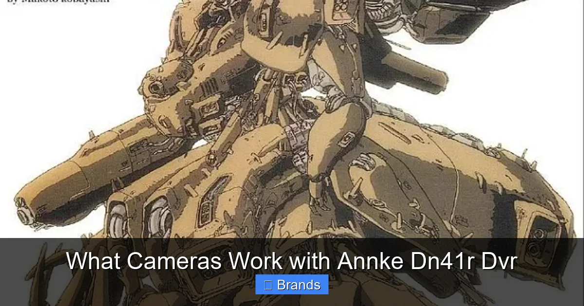What Cameras Work with Annke Dn41r Dvr
