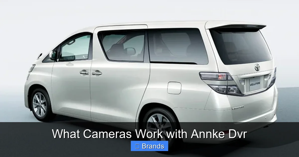 What Cameras Work with Annke Dvr