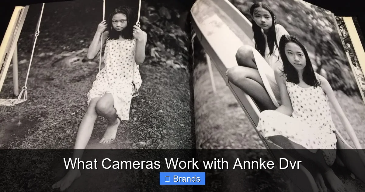 What Cameras Work with Annke Dvr