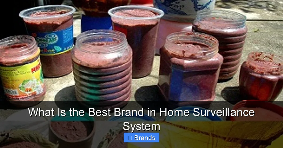 What Is the Best Brand in Home Surveillance System