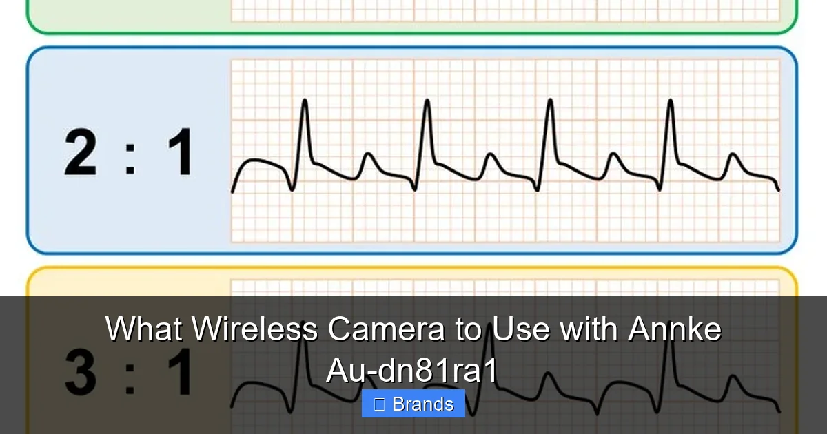 What Wireless Camera to Use with Annke Au-dn81ra1