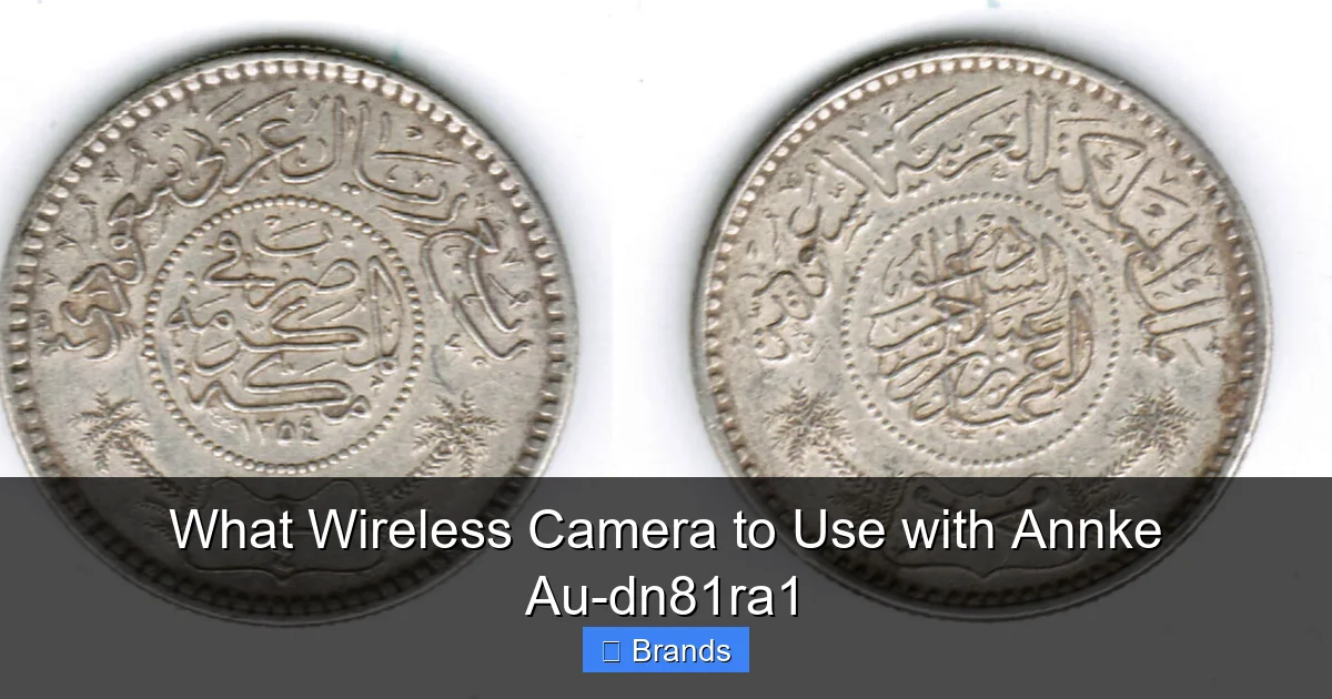 What Wireless Camera to Use with Annke Au-dn81ra1
