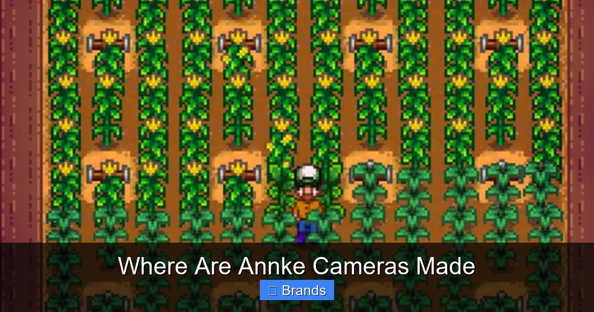 Where Are Annke Cameras Made