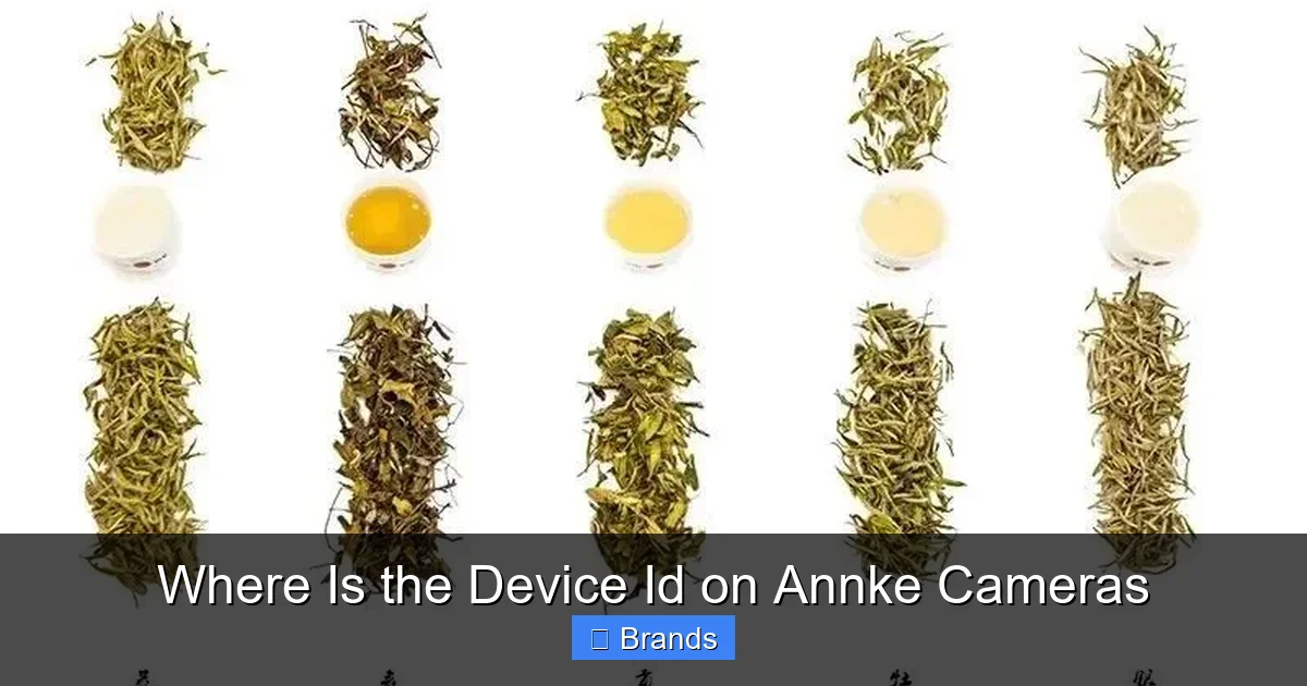 Where Is the Device Id on Annke Cameras