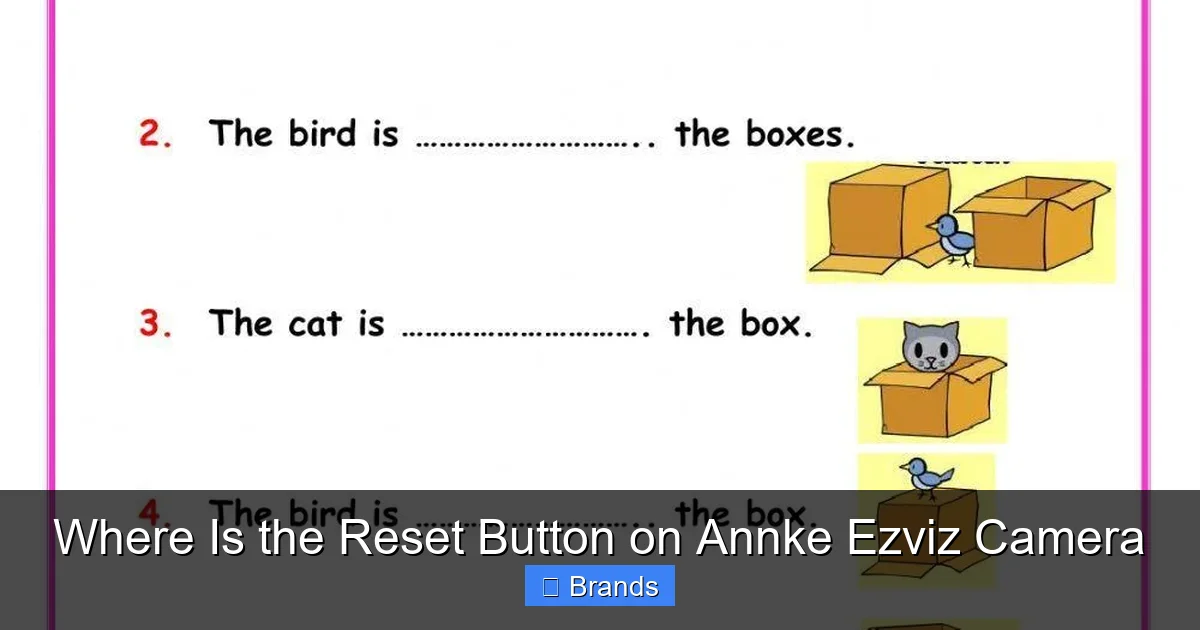 Where Is the Reset Button on Annke Ezviz Camera