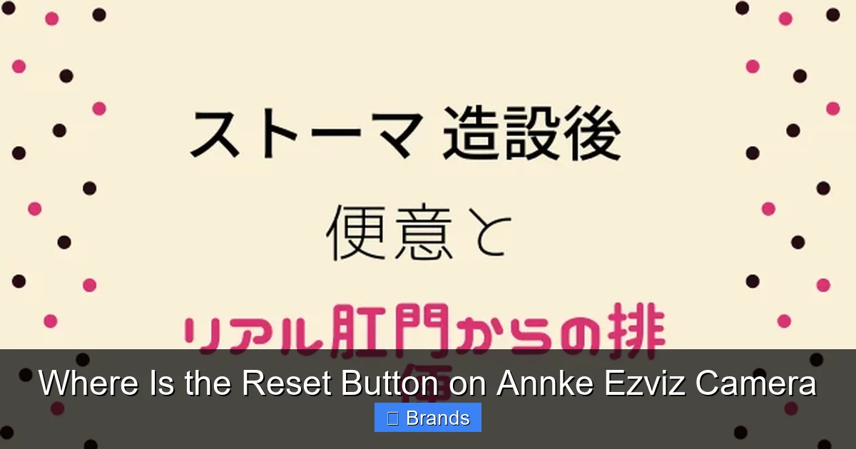 Where Is the Reset Button on Annke Ezviz Camera