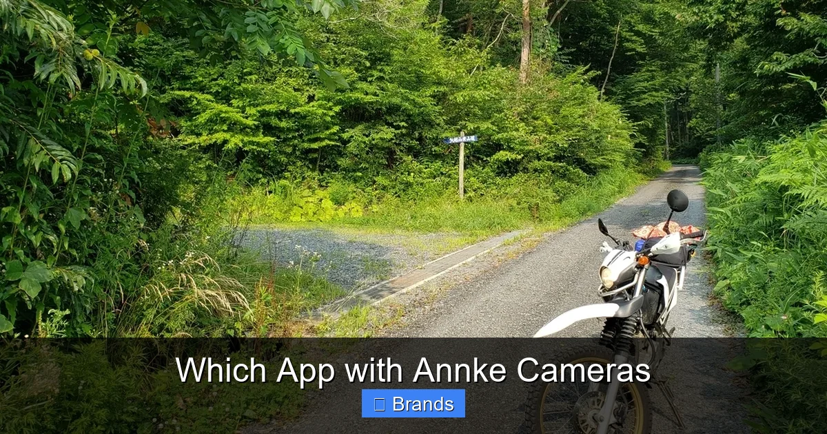Which App with Annke Cameras