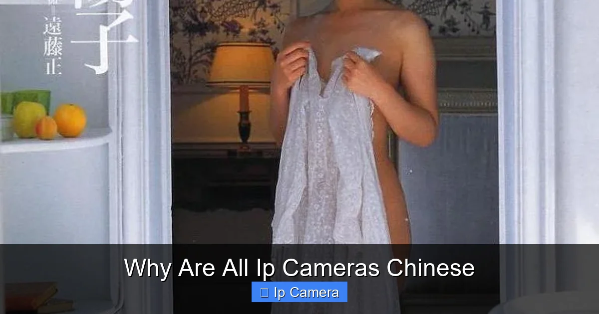Why Are All Ip Cameras Chinese