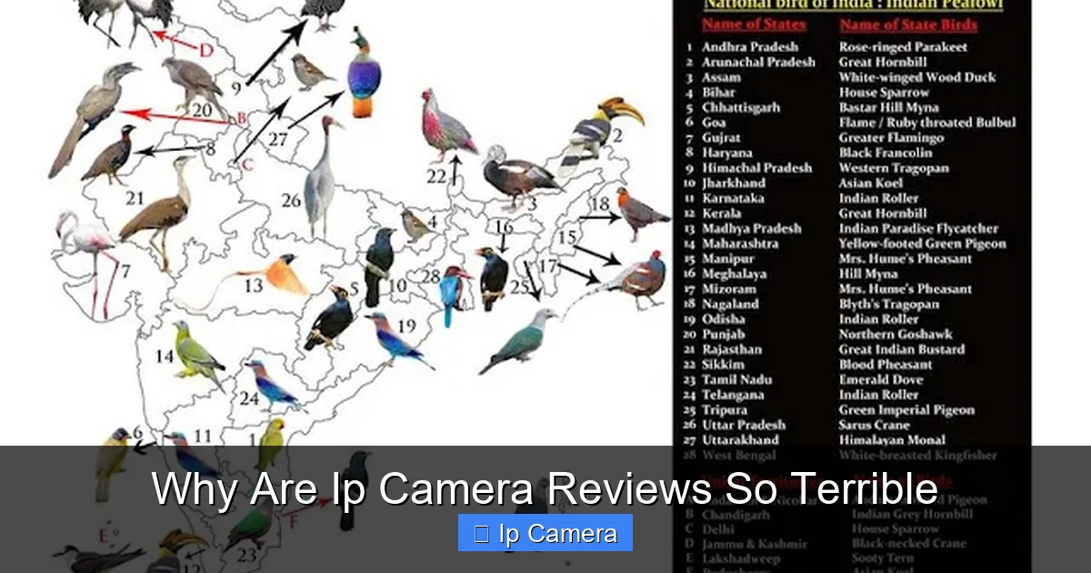 Why Are Ip Camera Reviews So Terrible
