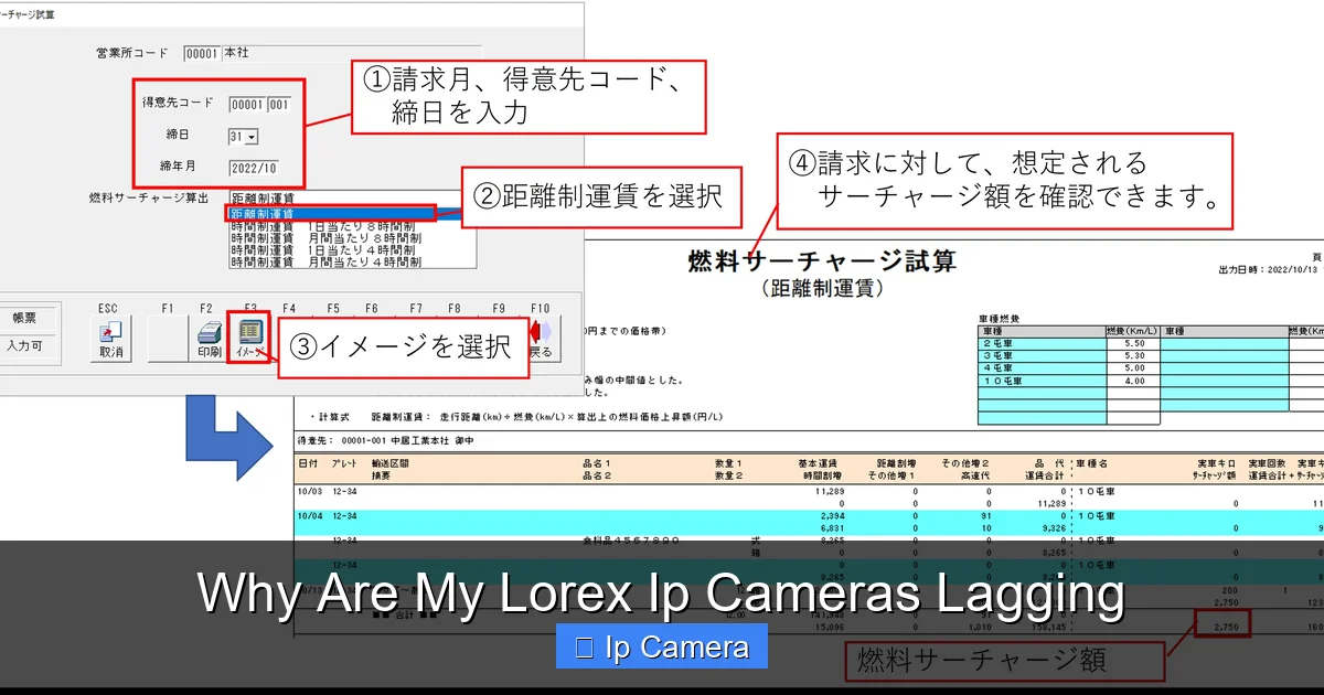 Why Are My Lorex Ip Cameras Lagging