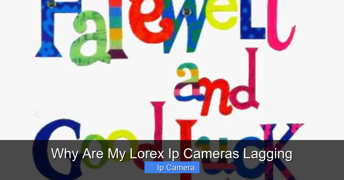 Why Are My Lorex Ip Cameras Lagging