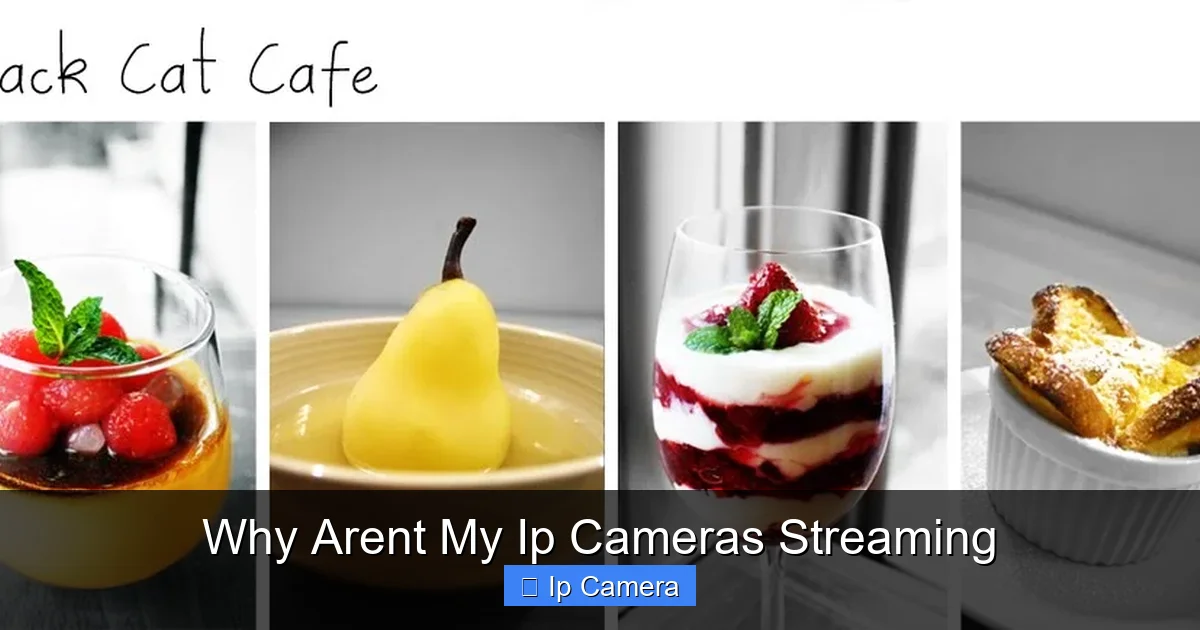 Why Arent My Ip Cameras Streaming