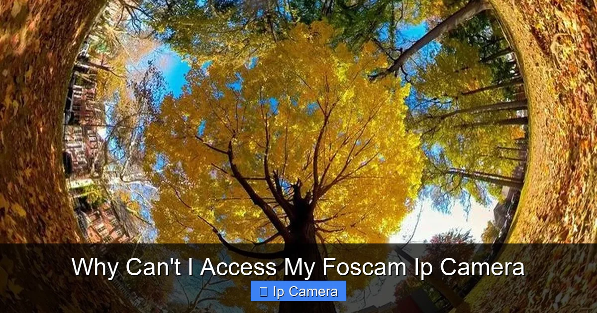 Why Can't I Access My Foscam Ip Camera