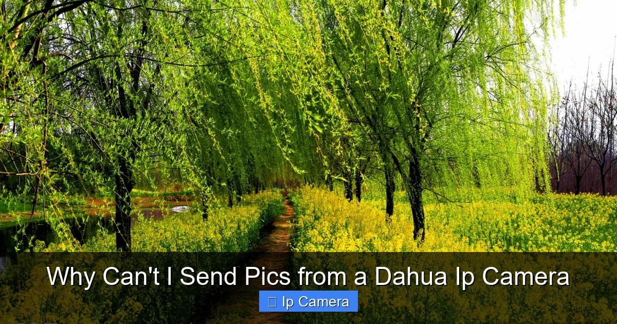 Why Can't I Send Pics from a Dahua Ip Camera