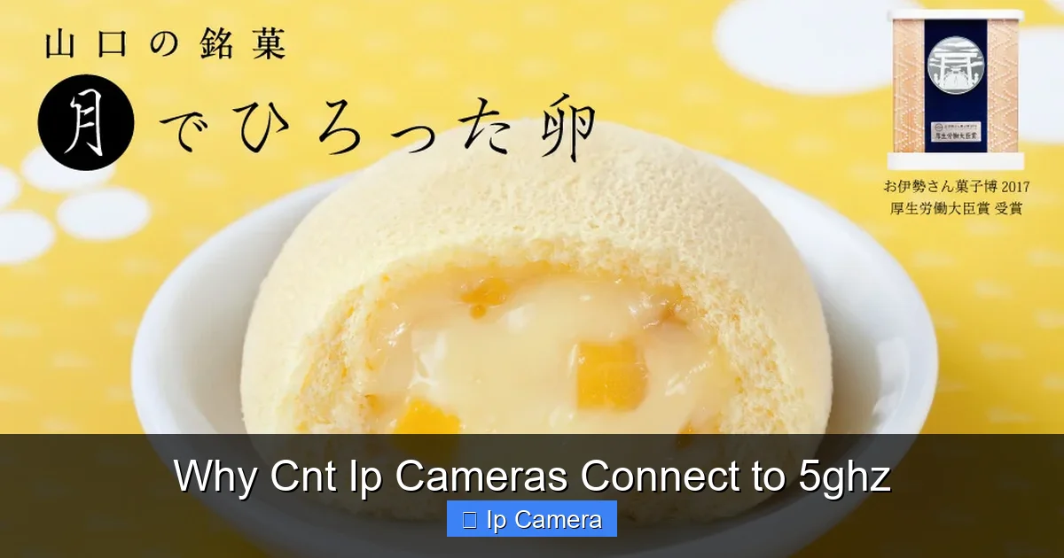 Why Cnt Ip Cameras Connect to 5ghz
