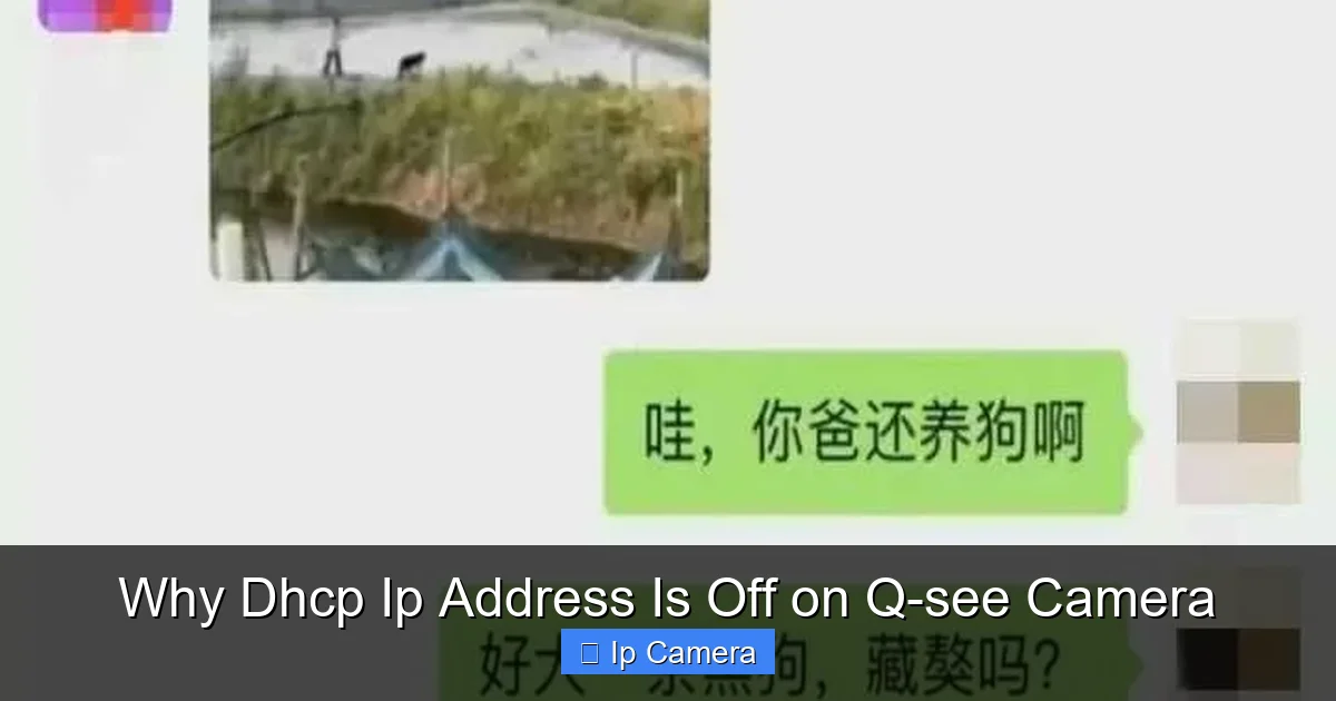 Why Dhcp Ip Address Is Off on Q-see Camera