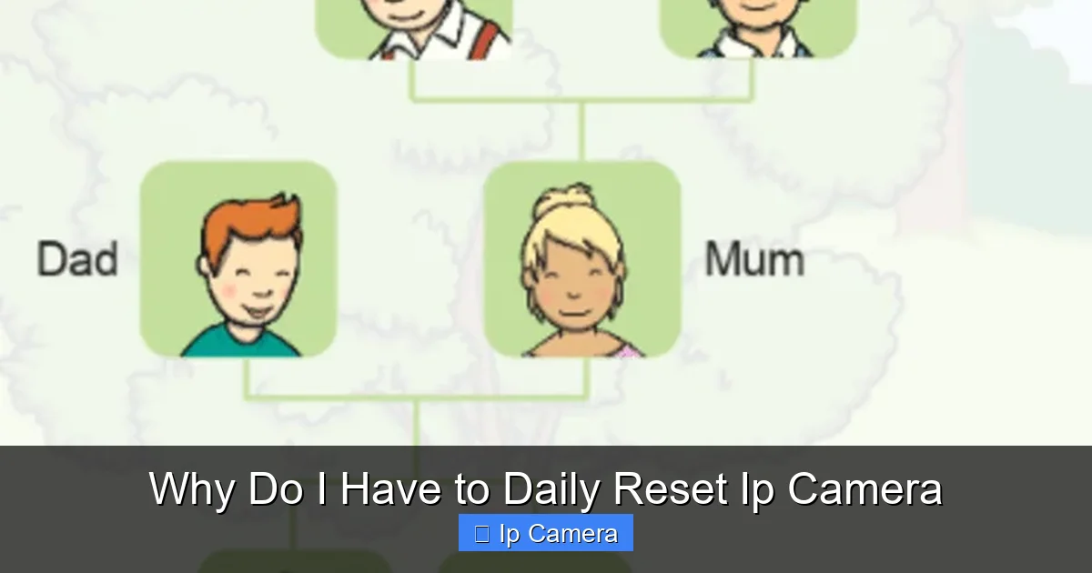 Why Do I Have to Daily Reset Ip Camera