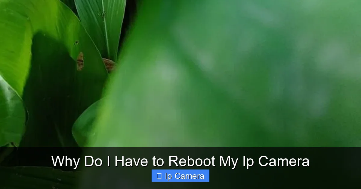 Why Do I Have to Reboot My Ip Camera