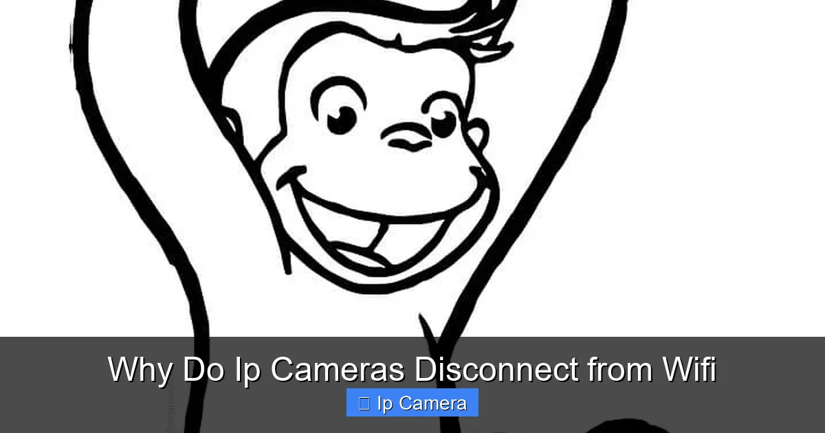 Why Do Ip Cameras Disconnect from Wifi