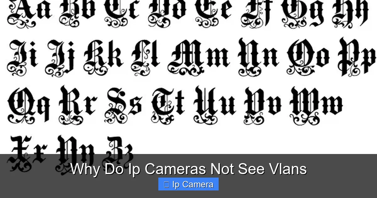 Why Do Ip Cameras Not See Vlans