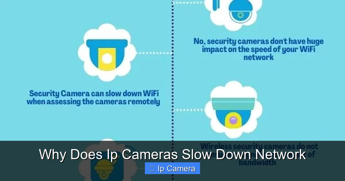 Why Does Ip Cameras Slow Down Network