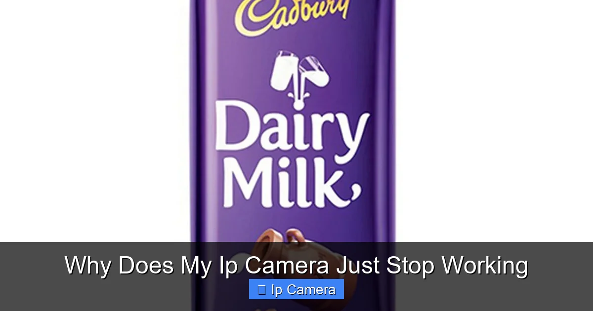 Why Does My Ip Camera Just Stop Working