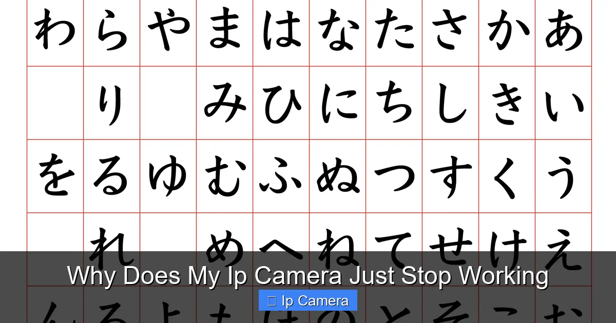 Why Does My Ip Camera Just Stop Working
