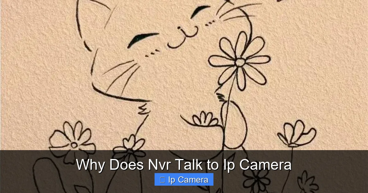Why Does Nvr Talk to Ip Camera