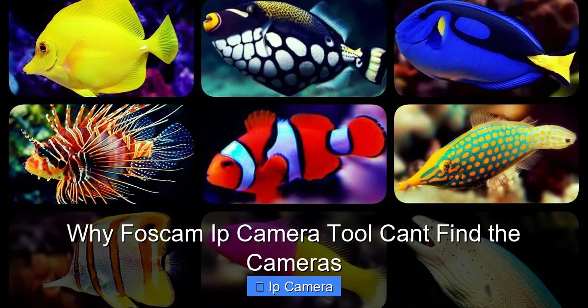 Why Foscam Ip Camera Tool Cant Find the Cameras