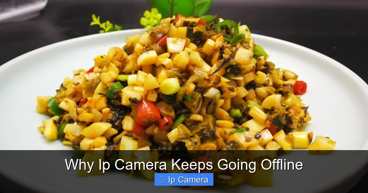 Why Ip Camera Keeps Going Offline