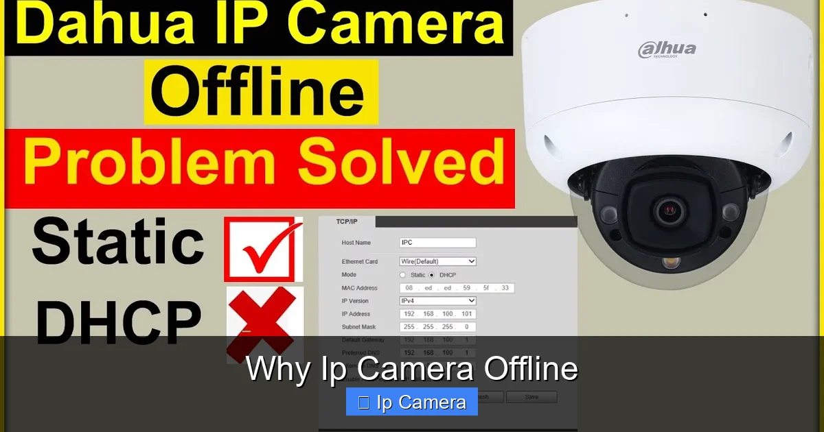 Why Ip Camera Offline
