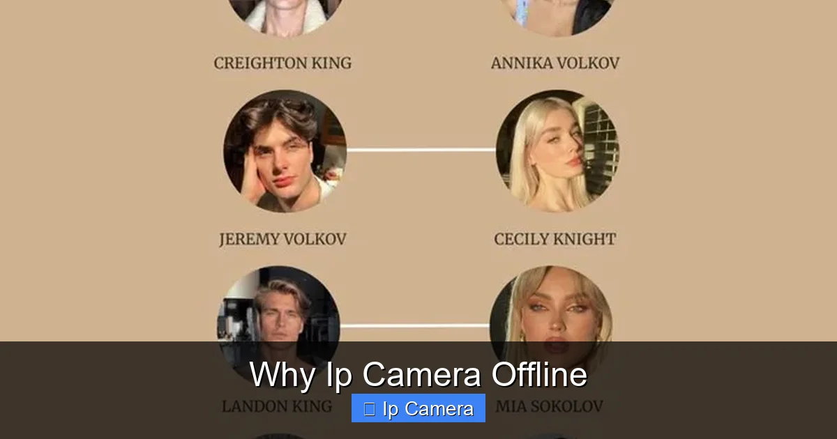 Why Ip Camera Offline