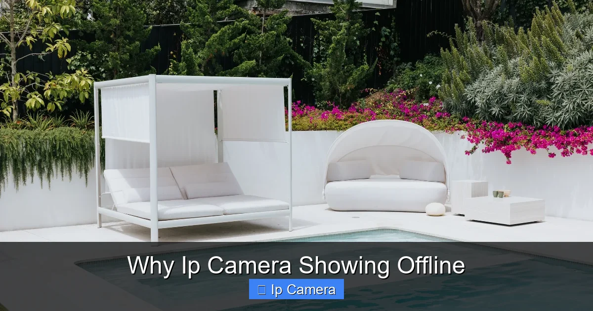Why Ip Camera Showing Offline
