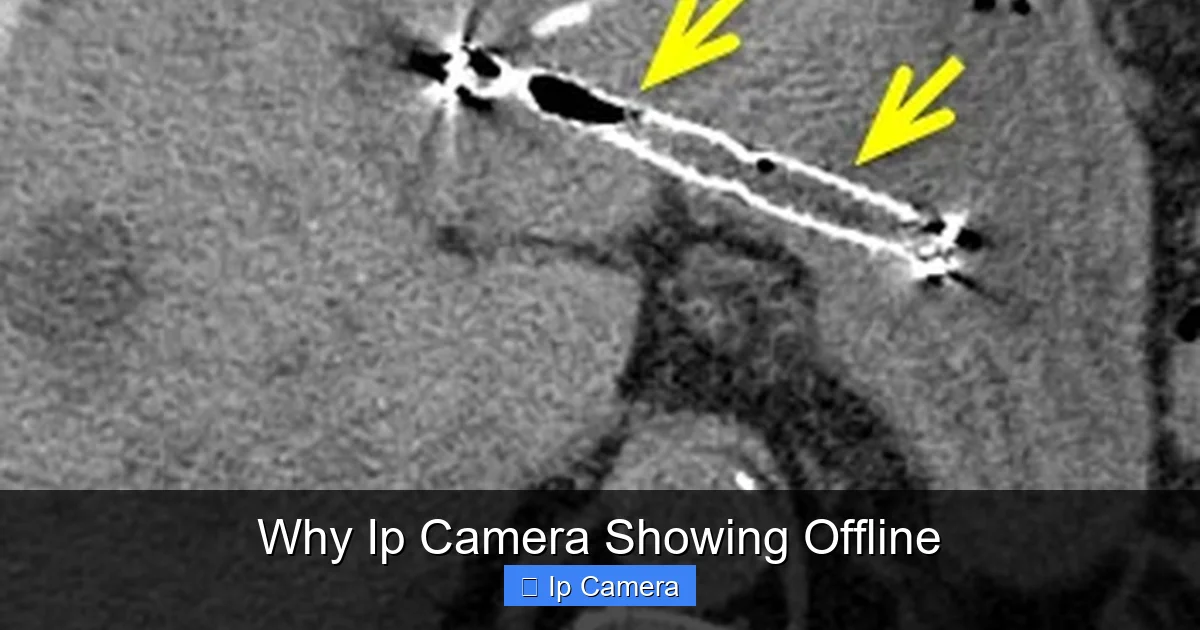 Why Ip Camera Showing Offline
